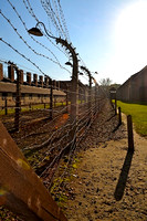 Jasna Gora and Auschwitz 130
