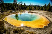 Yellowstone National Park 2020